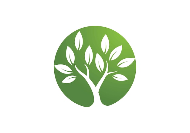 Vecteur symbole d'arbre et création de logo d'icône