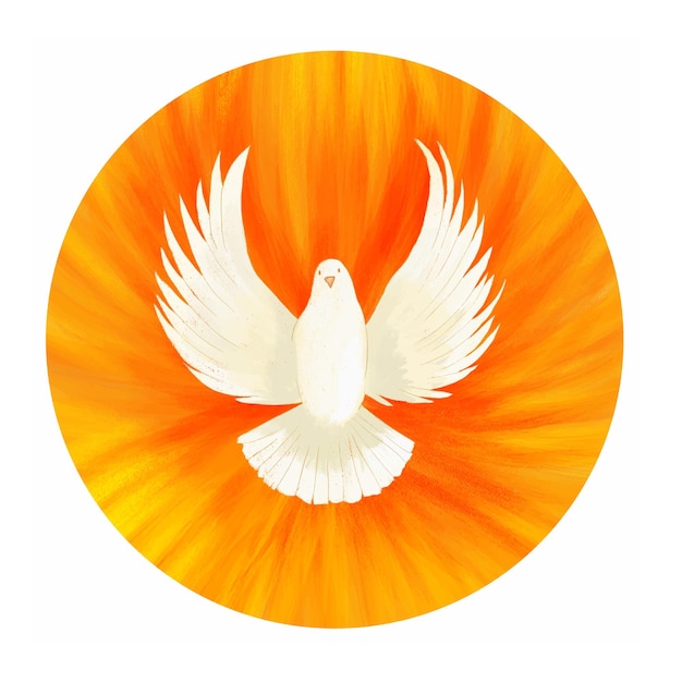 Vecteur symbole du saint-esprit colombe avec halo et rayons de lumière symboles des dons du saint-esprit