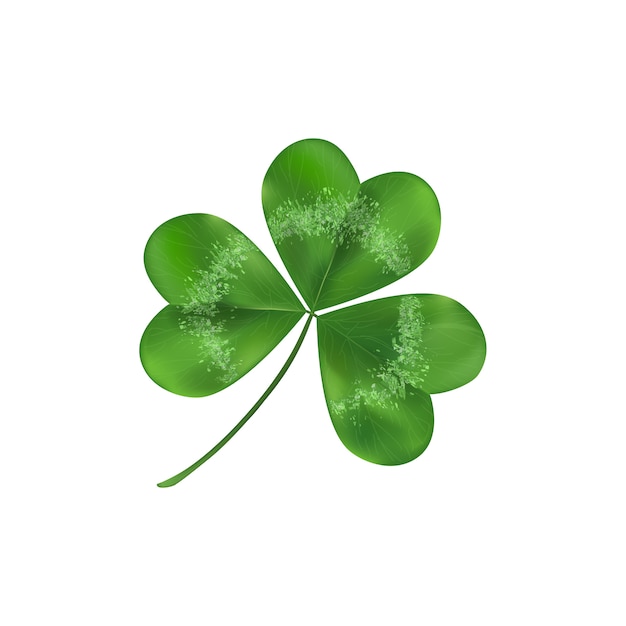 Symbole de feuille de trèfle vert de chance. Isolé sur blanc illustration. Décoration de trèfle comme symbole de la culture irlandaise.