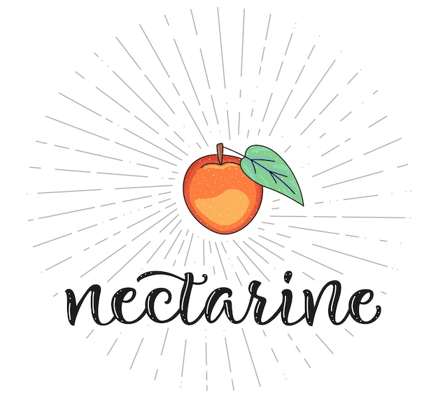 Symbole De Fruit De Nectarine Pour Le Menu Du Marché Agricole