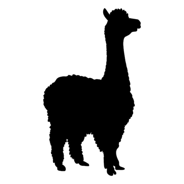 Symbole de l'icône de la silhouette de l'alpaca Illustration vectorielle