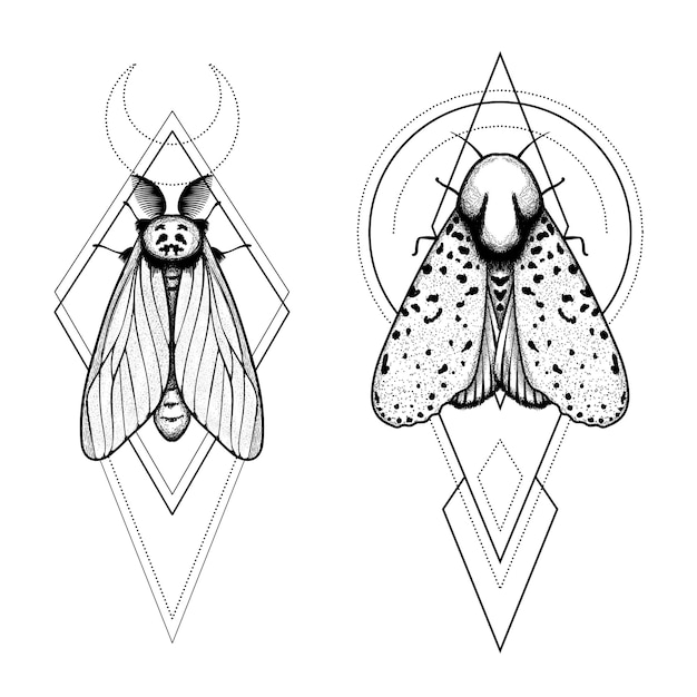 Vecteur symbole mystique de papillon de nuit vectoriel avec ornement géométrique