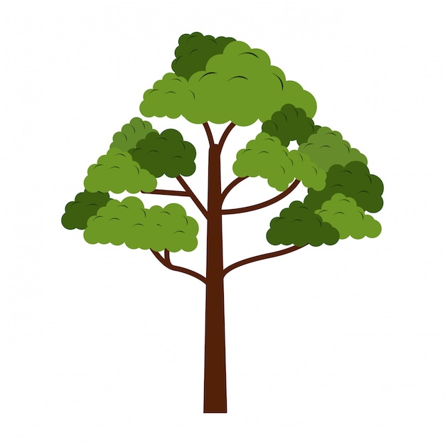 Symbole De La Nature Des Arbres