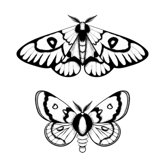 Symbole de papillon vectoriel Signes alchimiques occultes de sorcellerie Papillon de nuit style gravé vintage