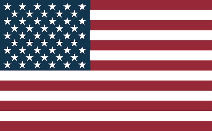 Vecteur symbole plat du drapeau des états-unis