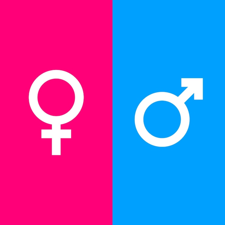 Vecteur symboles masculins et féminins du vecteur