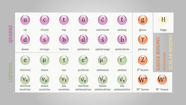 Vecteur tableau des particules élémentaires