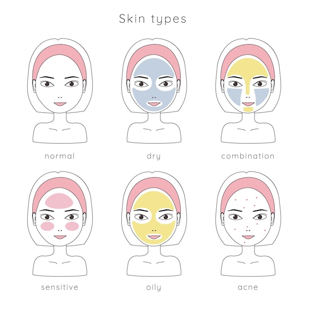 Tableau Des Principaux Types De Peau Illustration D'un Modèle De Conception De Vecteur Linéaire