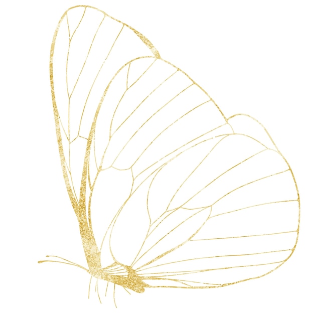 Tache de peinture brillante or Illustration dessinée à la main coup de pinceau peinture ornement décoreror insecte