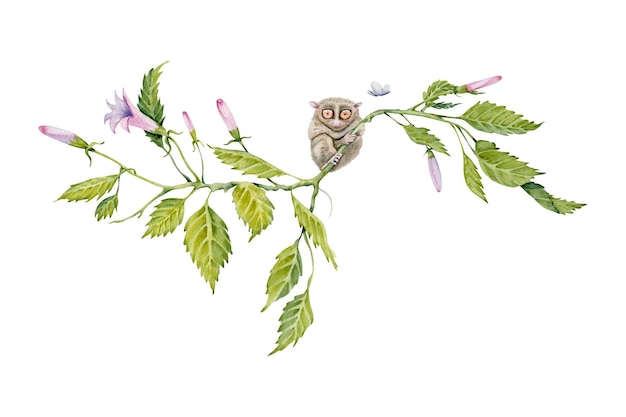 Vecteur tarsier sur une branche florale verte élément d'illustration à l'aquarelle isolé sur fond blanc