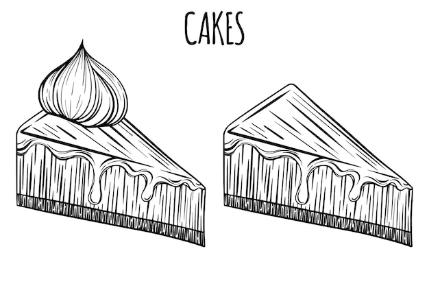 Tarte au gâteau fraîchement dessinée à la main ou gâteau au fromage pour boulangerie ou pâtisserie