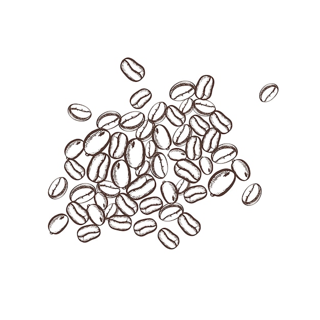 Vecteur tas de grains de café dessinés à la main illustration vectorielle monochrome dans un style rétro