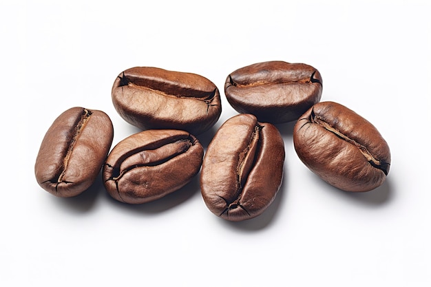 Vecteur tas de grains de café frais torréfiés isolés sur fond blanc