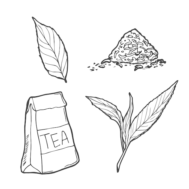 tasse de thé vectorielle et feuilles de thé isolées sur fond blanc illustration dessinée à la main