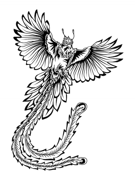 Tatouage Et T Shirt Design Noir Et Blanc Phoenix Bird Premium