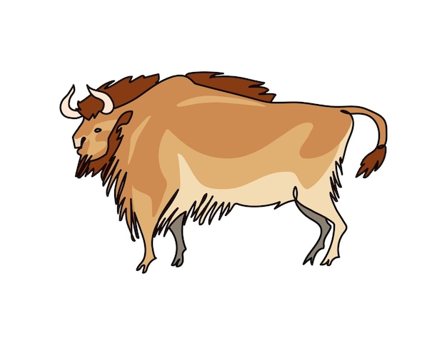 Taureau sauvage Un bison mâle avec une longue crinière