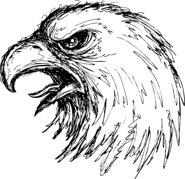 tête d'aigle grunge dans un style doodle. Tête de mascotte d'un aigle, illustration vectorielle