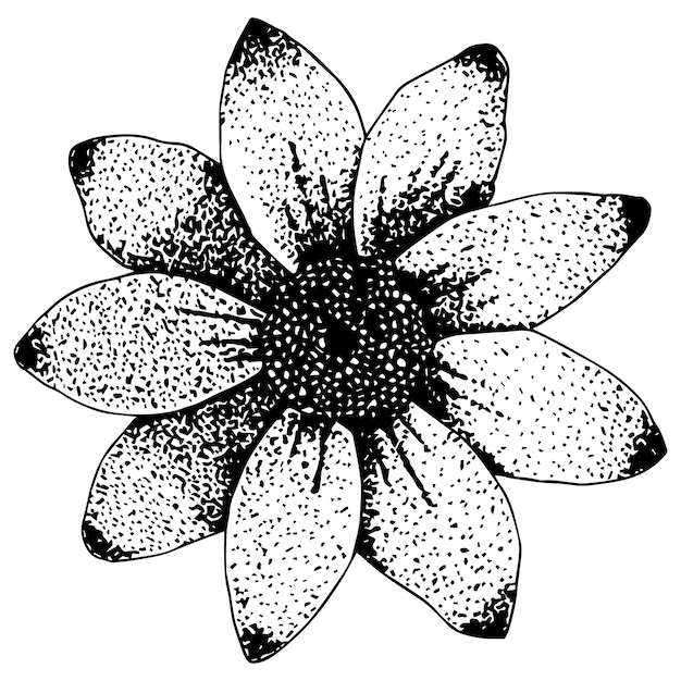 Tête de fleur dessinée à la main