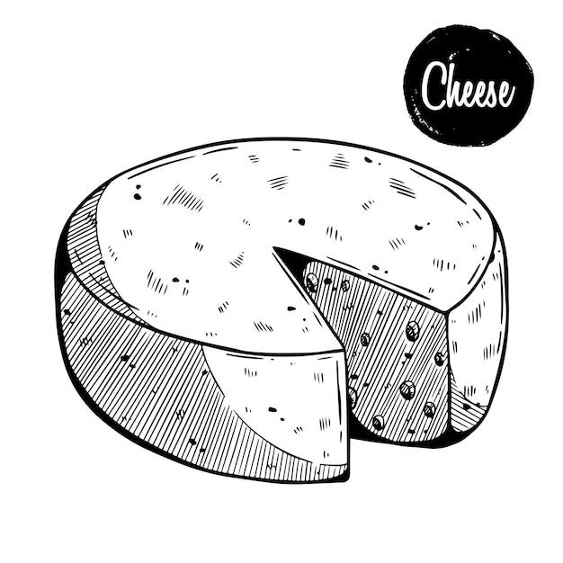 Vecteur tête de fromage à la main vector illustration