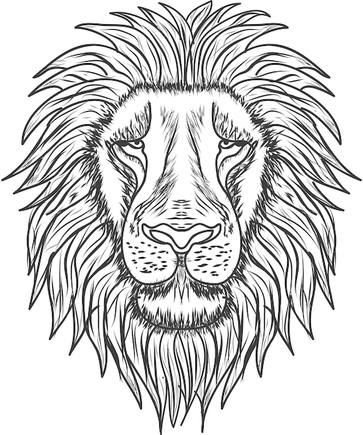 Tête de lion avec dessin vectoriel caressé à la main, résumé premium