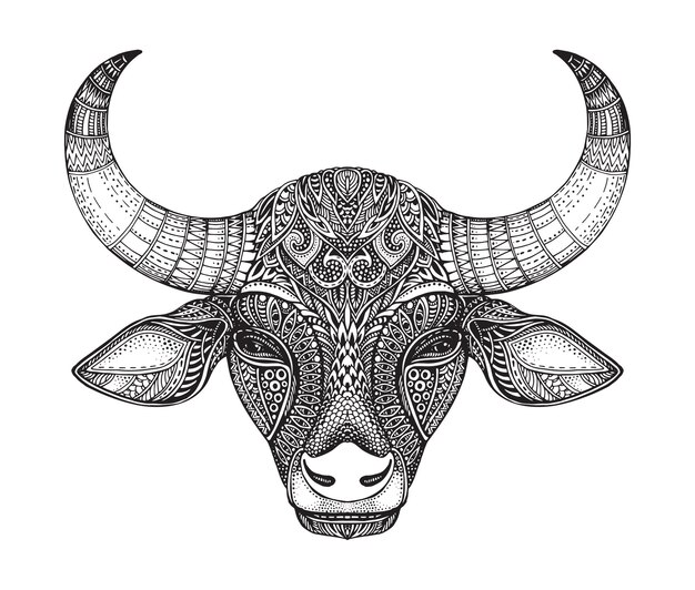 Tête Modelée Du Taureau. Illustration Vectorielle Dessinés à La Main Dans Un Style Doodle Orné.