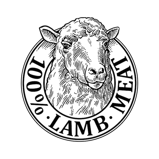 Tête de mouton 100 lettrage en laine naturelle illustration de gravure vectorielle vintage