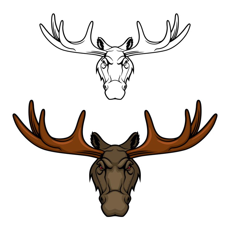 Vecteur tête d'orignal ou de wapiti avec bois icône d'animal sauvage