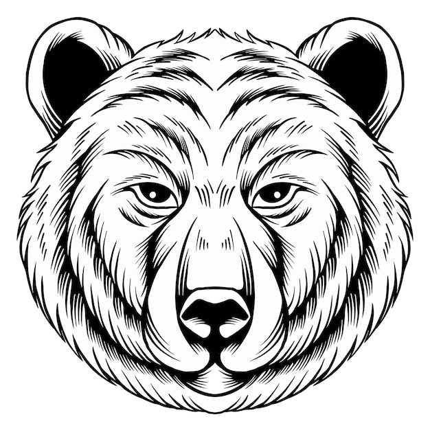 Tête D'ours Dessin Main Noir Et Blanc. Vecteur D'illustrations