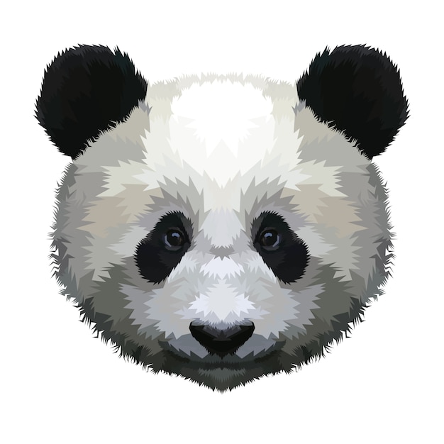 Tête de panda isolée sur fond blanc