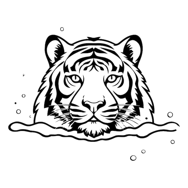 Vecteur tête de tigre dans l'eau illustration vectorielle pour le design d'impression de t-shirt