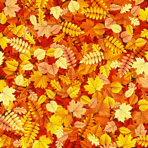 Texture de feuilles d'automne.