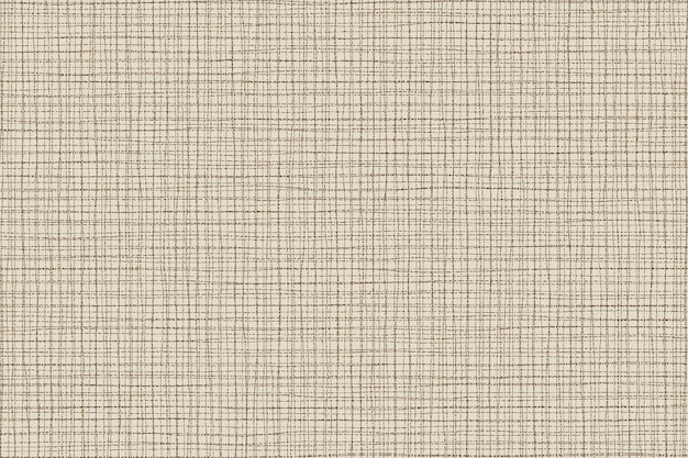 Vecteur texture de fond de vecteur de toile de jute marron