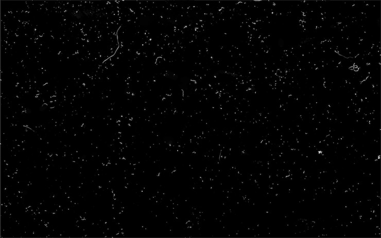 Vecteur texture granuleuse blanche en détresse couvre-tout de poussière texturé particules de bruit de grain effets de neige et fond noir rouillé illustration vectorielle