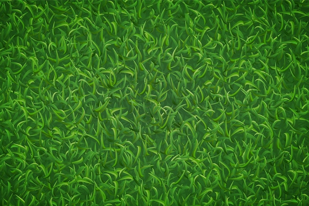 Texture De L'herbe De La Pelouse.