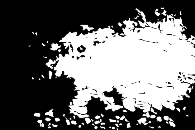 Texture de recouvrement grunge vectorielle Texture de fond grunge noir et blanc Texture grunge monochrome