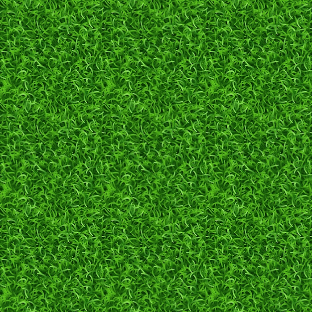 Texture vecteur herbe transparente