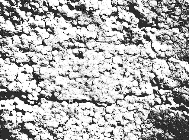 Texture De Vieux Murs De Béton Fissurés Vecteur Eps8 De Détresse