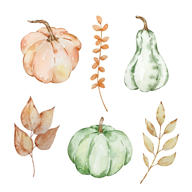 Thanksgiving Aquarelle éléments Citrouilles Et Feuilles