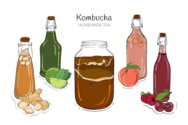 Vecteur thé kombucha dessiné à la main