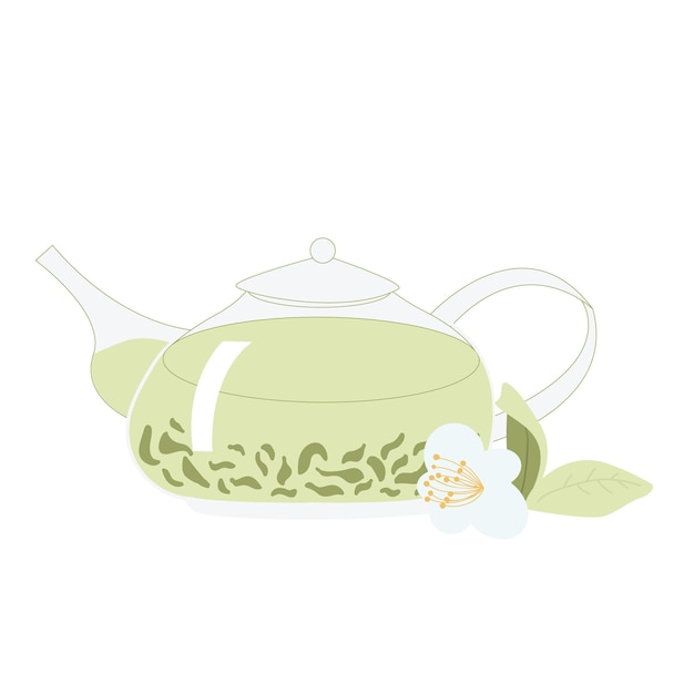 Une Théière Dessinée à La Main Avec Du Thé Vert Chinois Fleur De Camellia Sinensis Les Pétales De La Plante Dans Le Pot Illustration Vectorielle Isolée Sur Fond Blanc