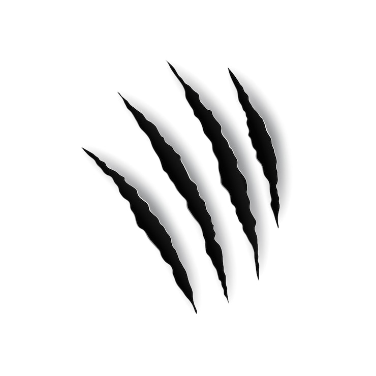 Vecteur tigre ou chat sauvage ongles d'animaux trace rayures isolées quatre pattes imprimer vecteur noir griffes sanglantes animal gratter piste chat tigre rayures forme de patte dinosaure monstre ou clou de chien déchiré fissures