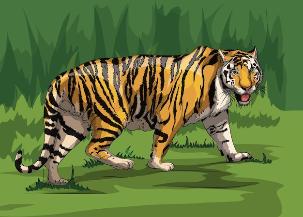 Tigre Dans La Forêt