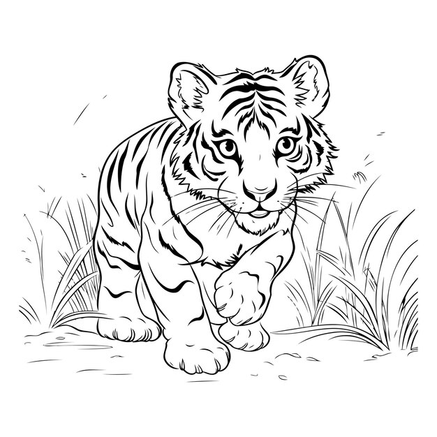 Vecteur tigre dans l'herbe illustration vectorielle en noir et blanc pour livre à colorier