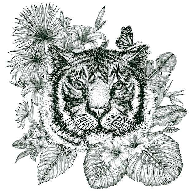 Tigre dans un jardin tropical dans un style de gravure feuilles de palmier et de bananier liviston plumeria monste