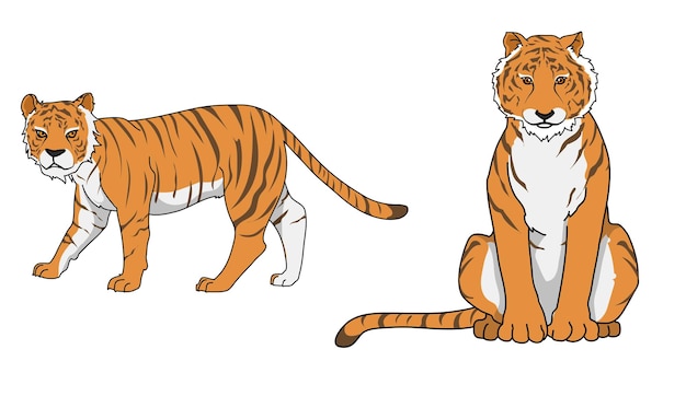 Tigre En Illustration Vectorielle De 2 Actions