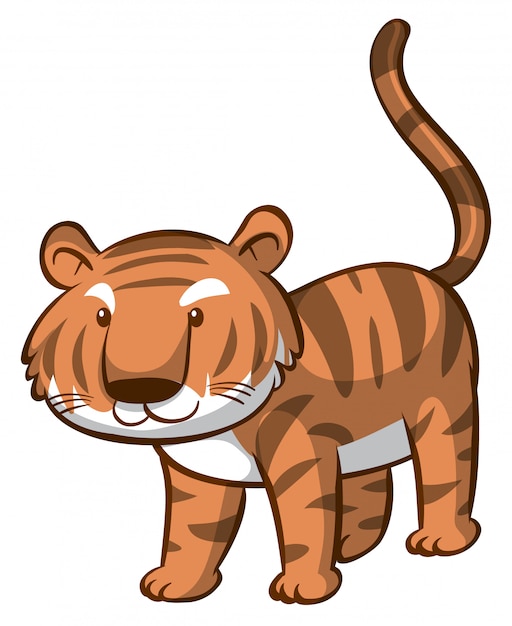 Tigre mignon