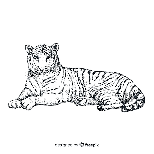 Tigre