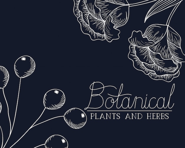 Étiquette botanique avec des plantes et des herbes