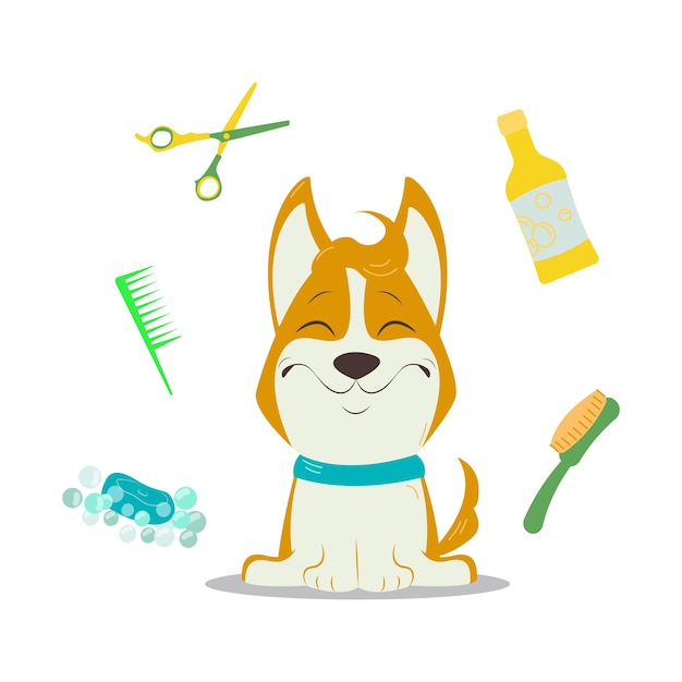 Vecteur toilettage de chiens avec corgi et équipement de toilettage