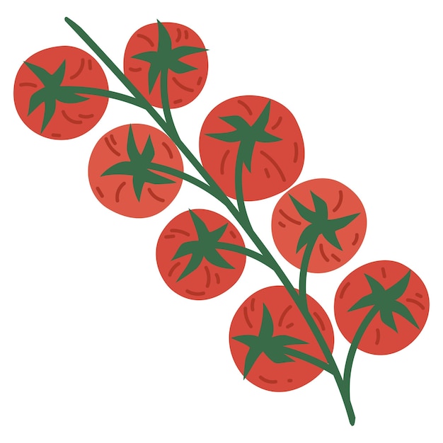 Vecteur tomate cerise de dessin animé légume de tomates crues dessinées à la main illustration de vecteur plat de tomate de jardin savoureuse biologique sur fond blanc